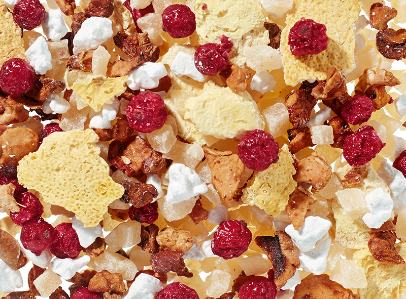 Bitterlimonade 3 Nahaufnahme der Früchteteemischung Bitterlimonade mit Johannisbeeren und Zitronenstücken