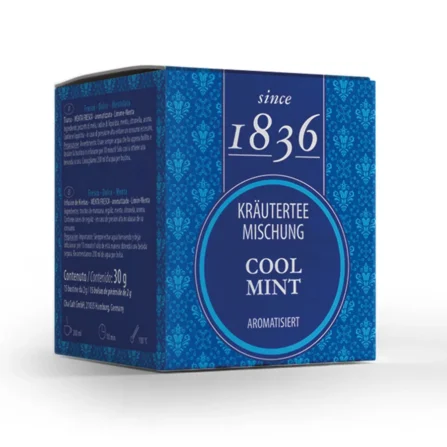 Cool Mint Pyramidenbeutel